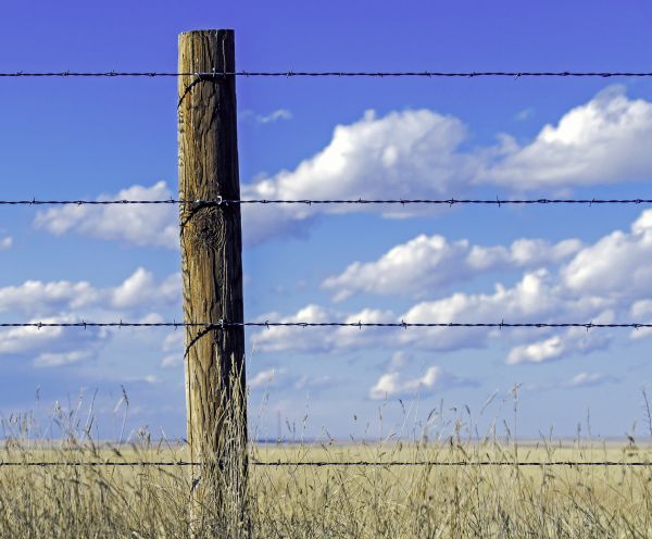 Barbed Wire Installation in Santa Fe