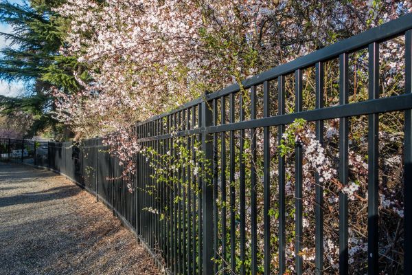 Black Metal Fence Installation in Santa Fe