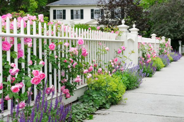 Fence Service in Santa Fe