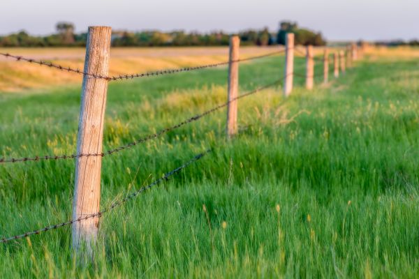 Field Fence Installation in Santa Fe