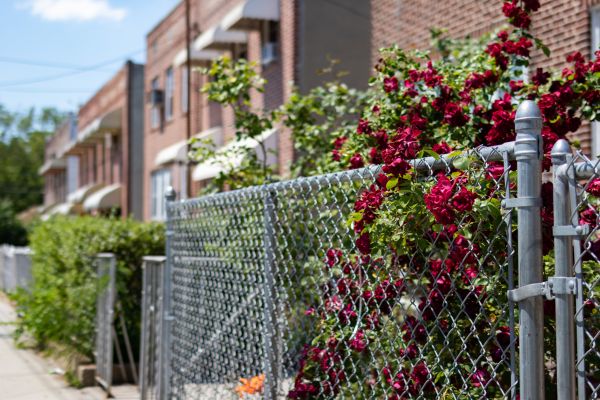 Chain Link Fence Replacement in Santa Fe