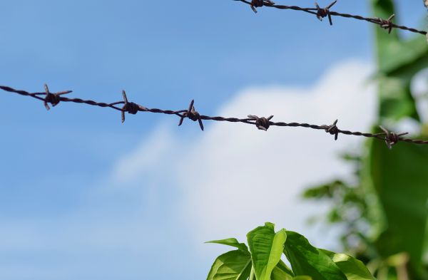 Garden Fencing Service in Santa Fe