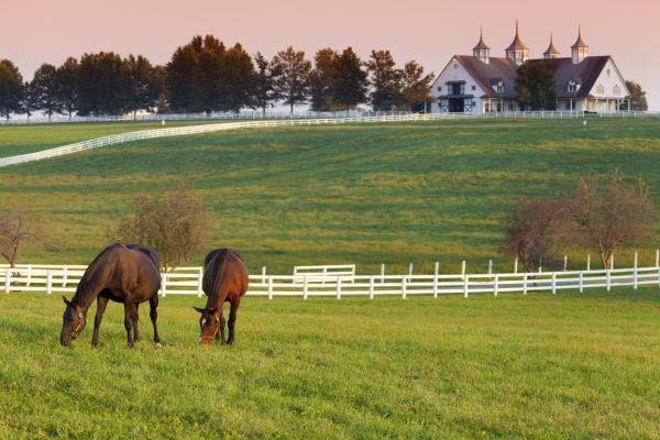 Horse Paddock Installation in Santa Fe