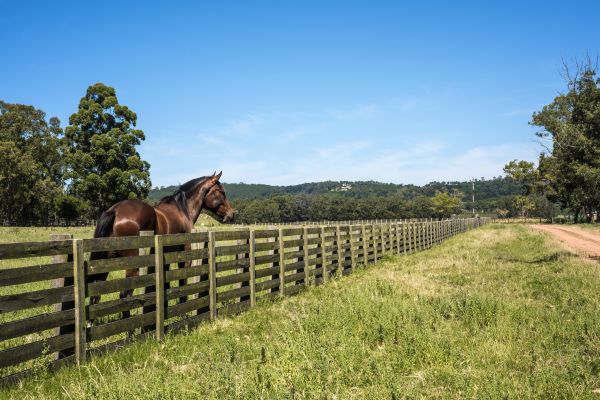 Horse Enclosure Installation in Santa Fe