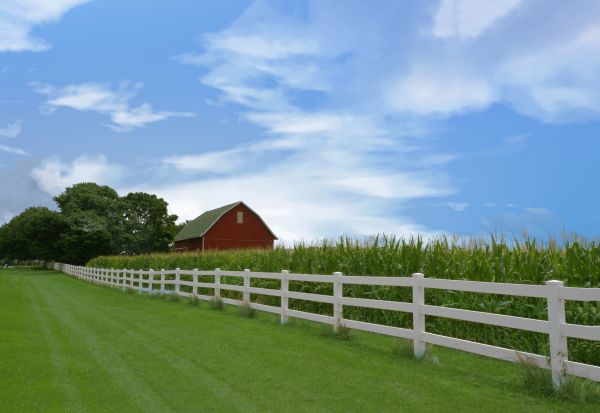 Wooden Farm Fence Installation in Santa Fe