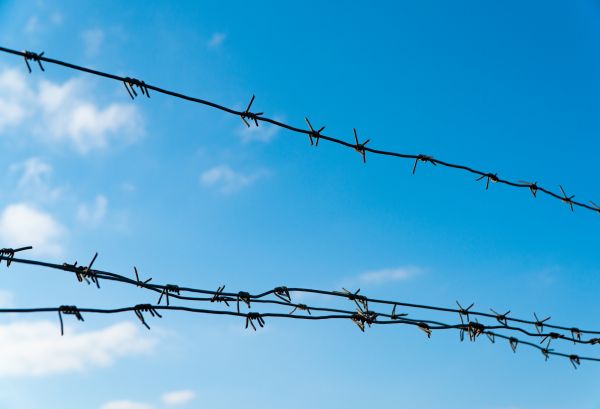 Wire Fencing Service in Santa Fe