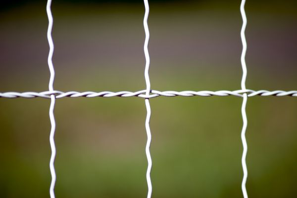 Woven Wire Fence Repair in Santa Fe