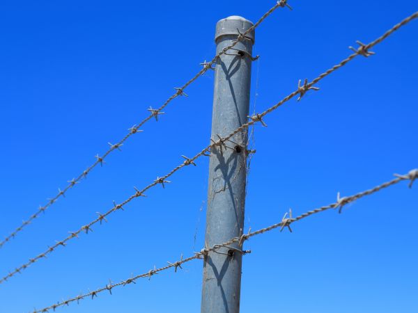 Wire Fence Replacement in Santa Fe