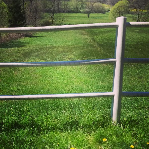 Cattle Fence Replacement in Santa Fe