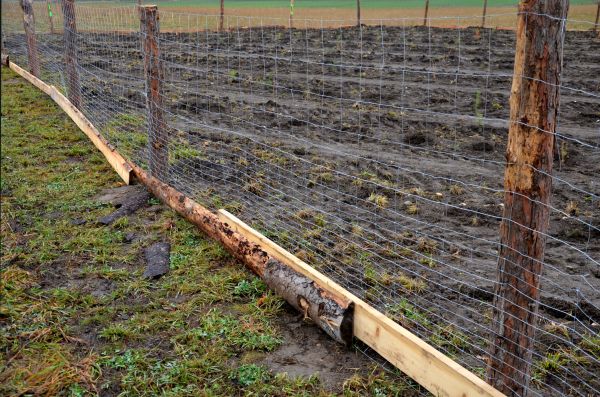 Deer Fencing Repair in Santa Fe