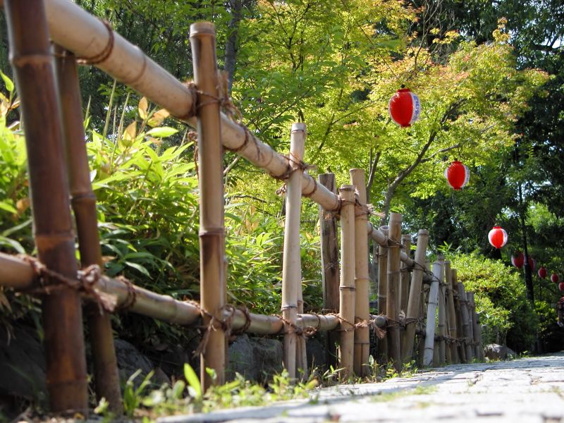 Natural Bamboo Fence